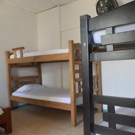 Mango Tree Ctg 420 Hostel Cartagena