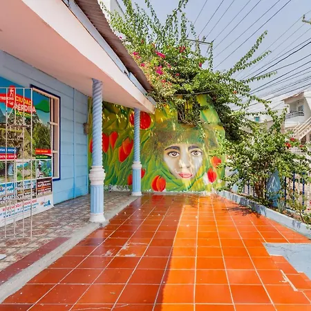 Mango Tree Ctg 420 * Cartagena
