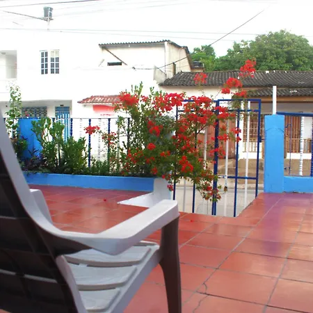 Mango Tree Ctg 420 * Cartagena