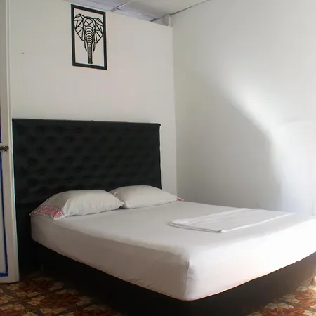 Mango Tree Ctg 420 Cartagena