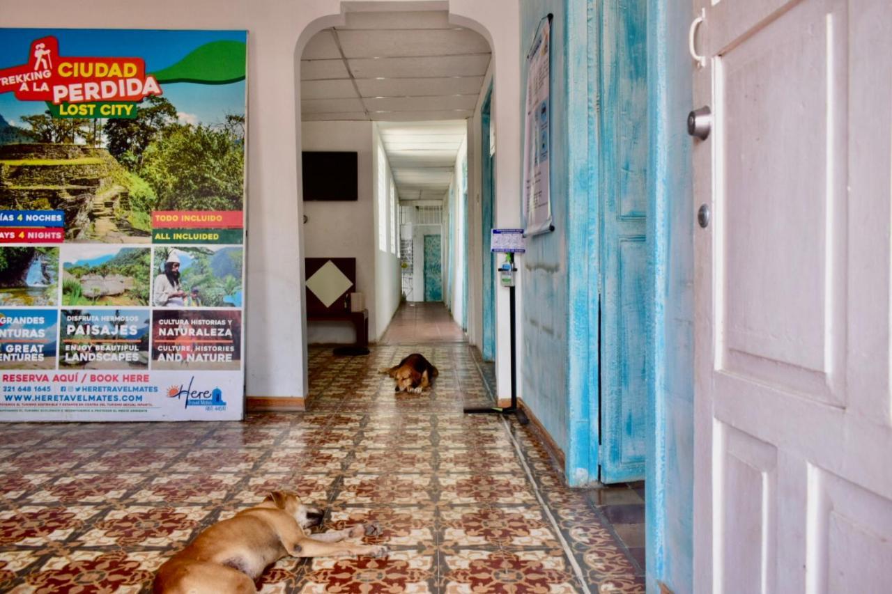 Mango Tree Ctg 420 *