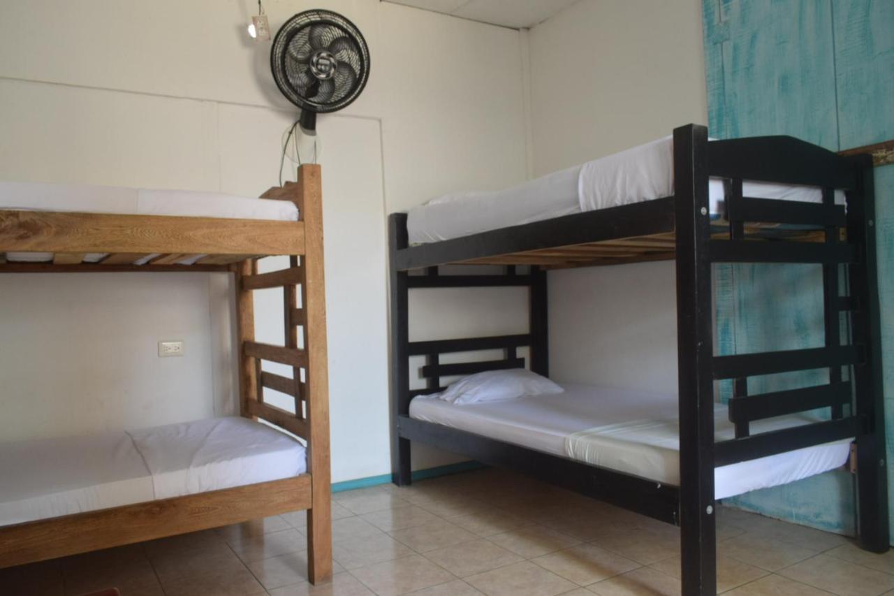 Mango Tree Ctg 420 * Cartagena