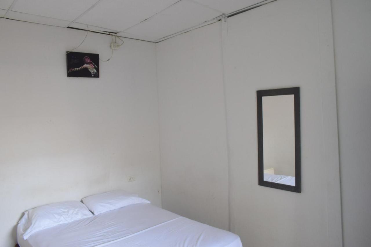 Mango Tree Ctg 420 *