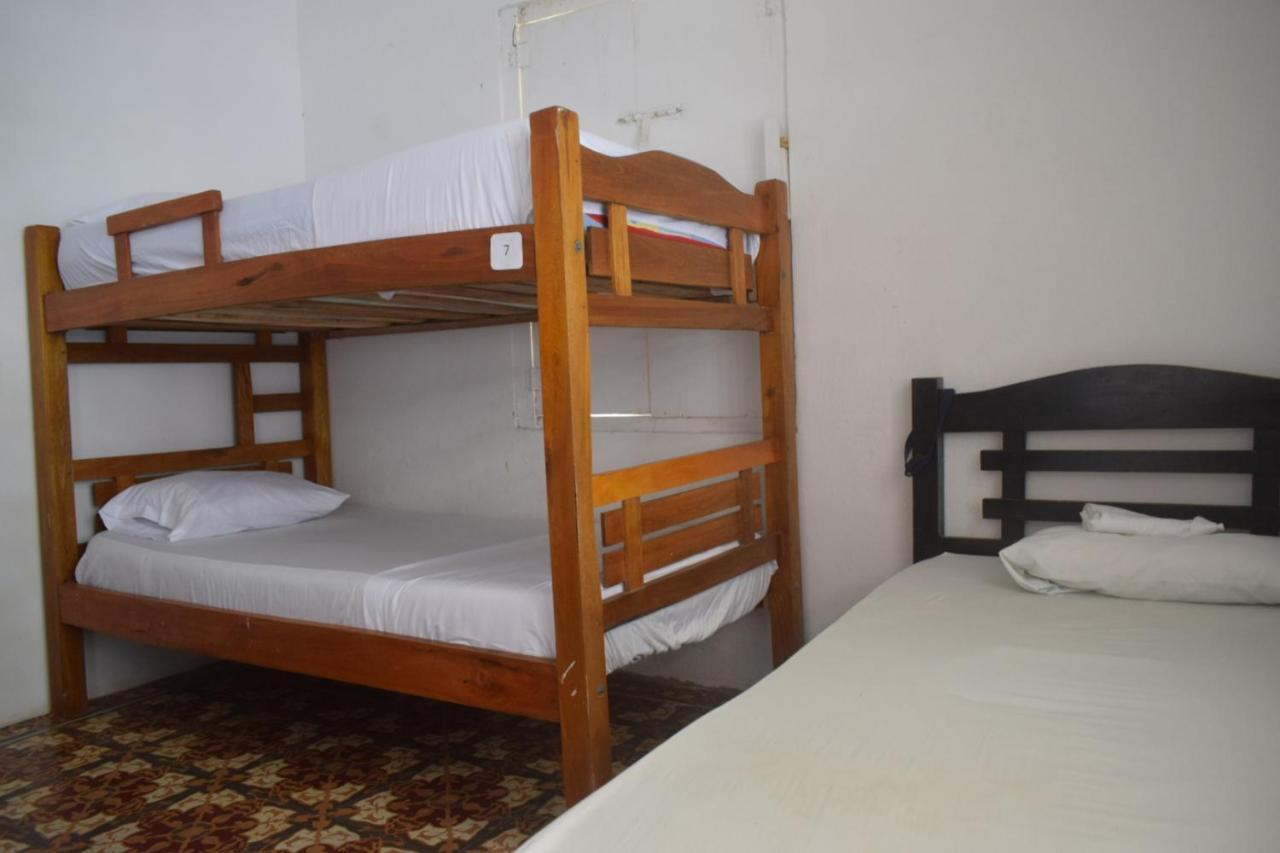 Mango Tree Ctg 420 *