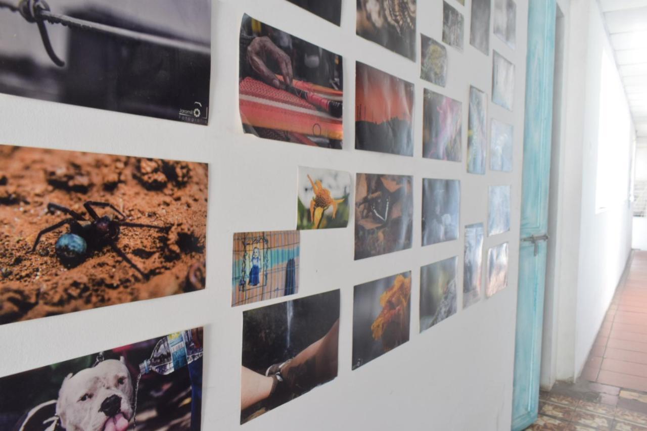 Mango Tree Ctg 420 Hostal *