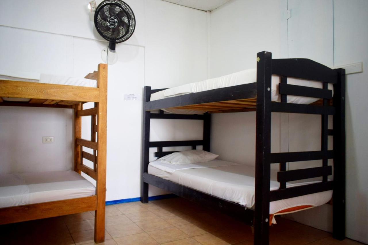 Mango Tree Ctg 420 *