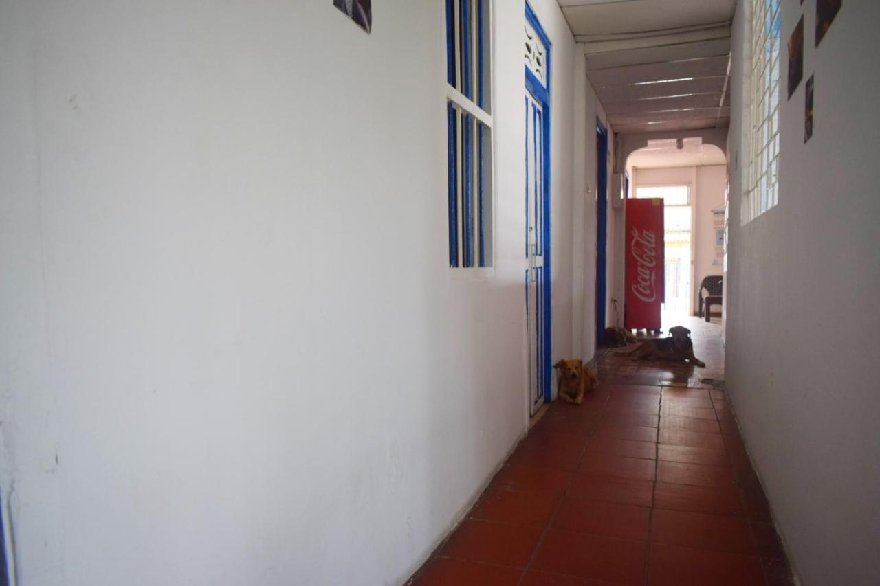 Mango Tree Ctg 420 * Cartagena