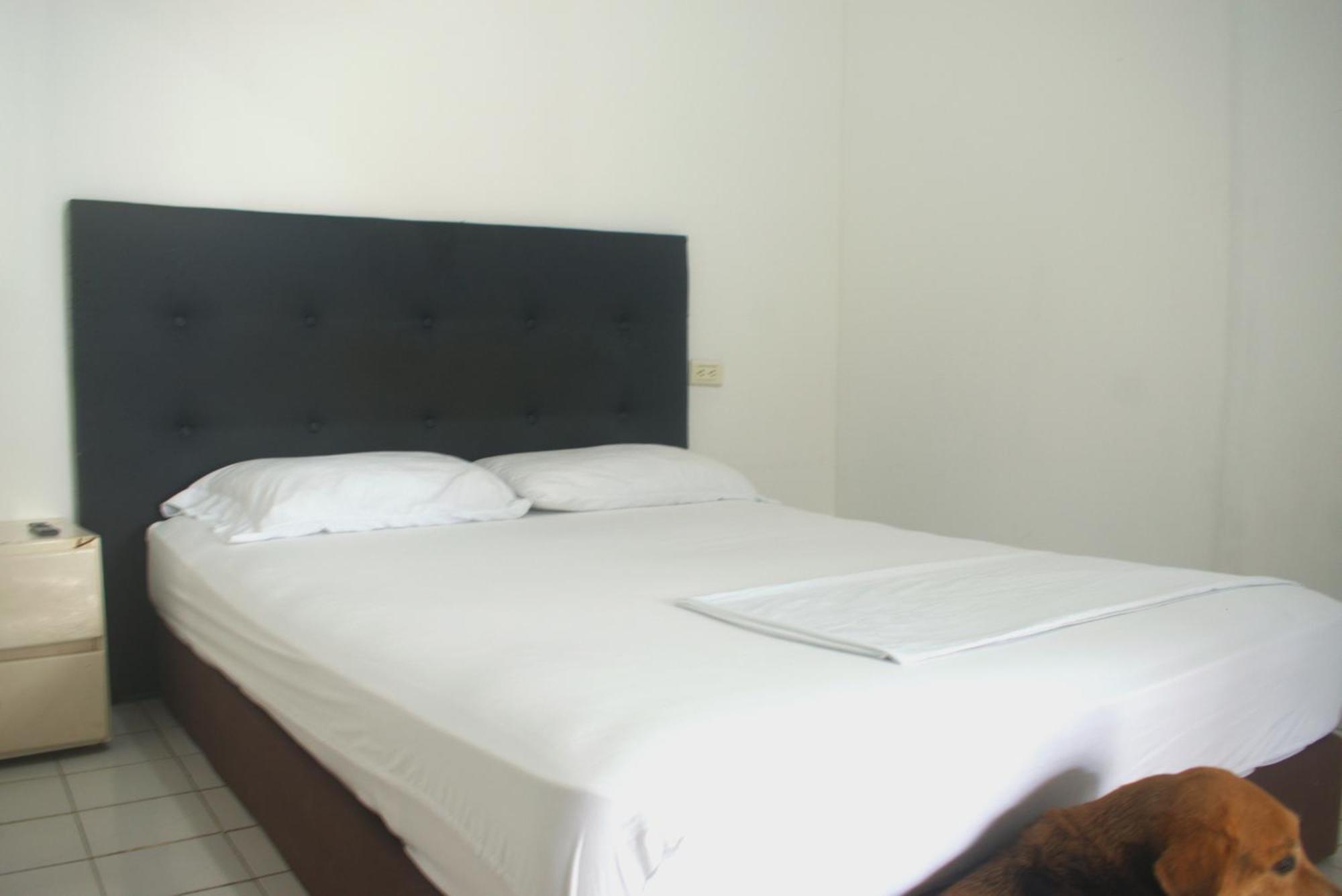 Mango Tree Ctg 420 * Cartagena