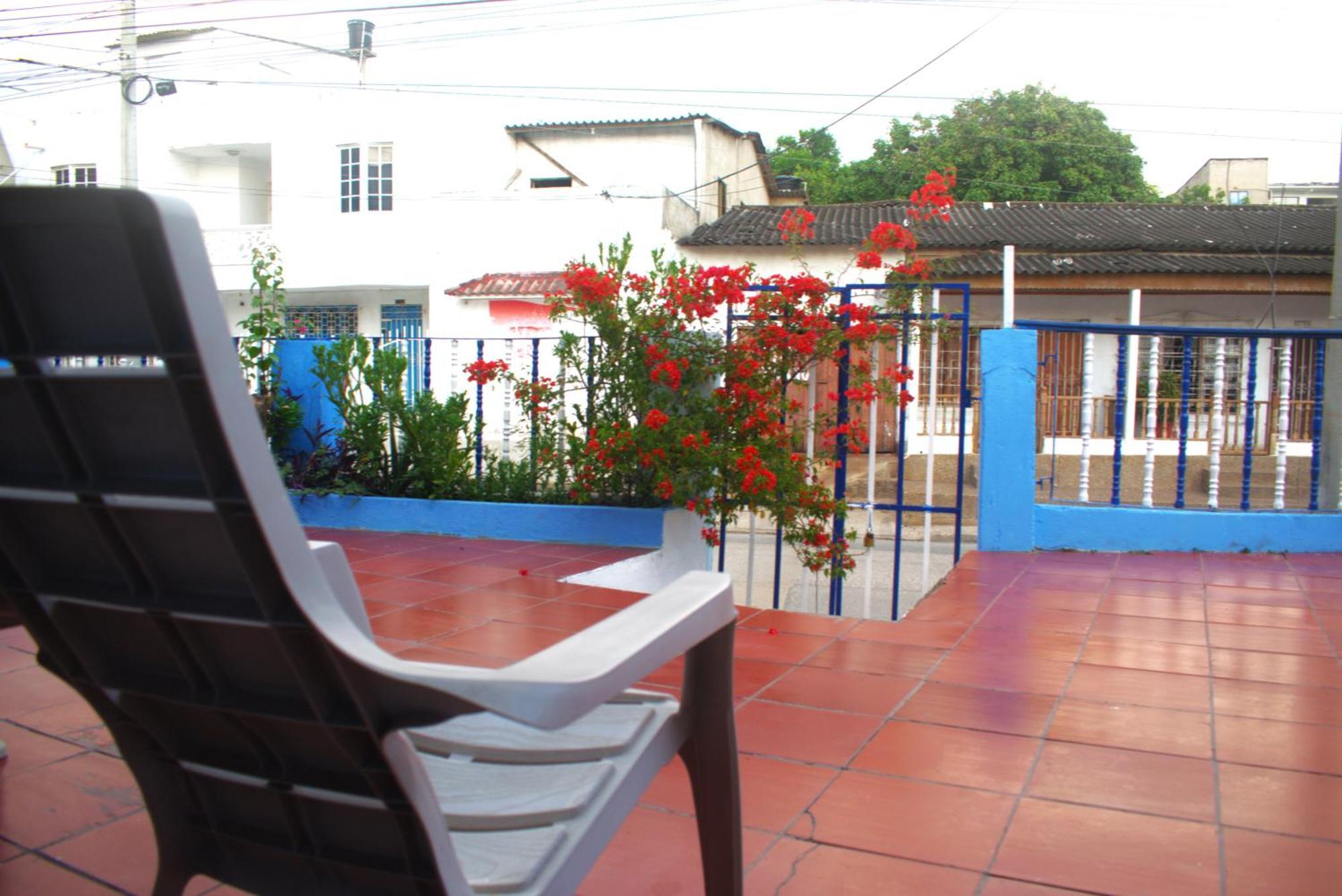 Mango Tree Ctg 420 * Cartagena