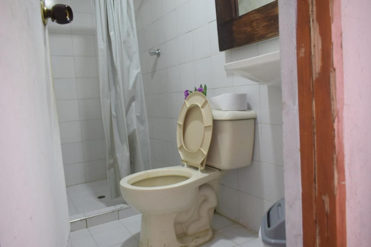 Hostel Mango Tree Ctg 420 Cartagena