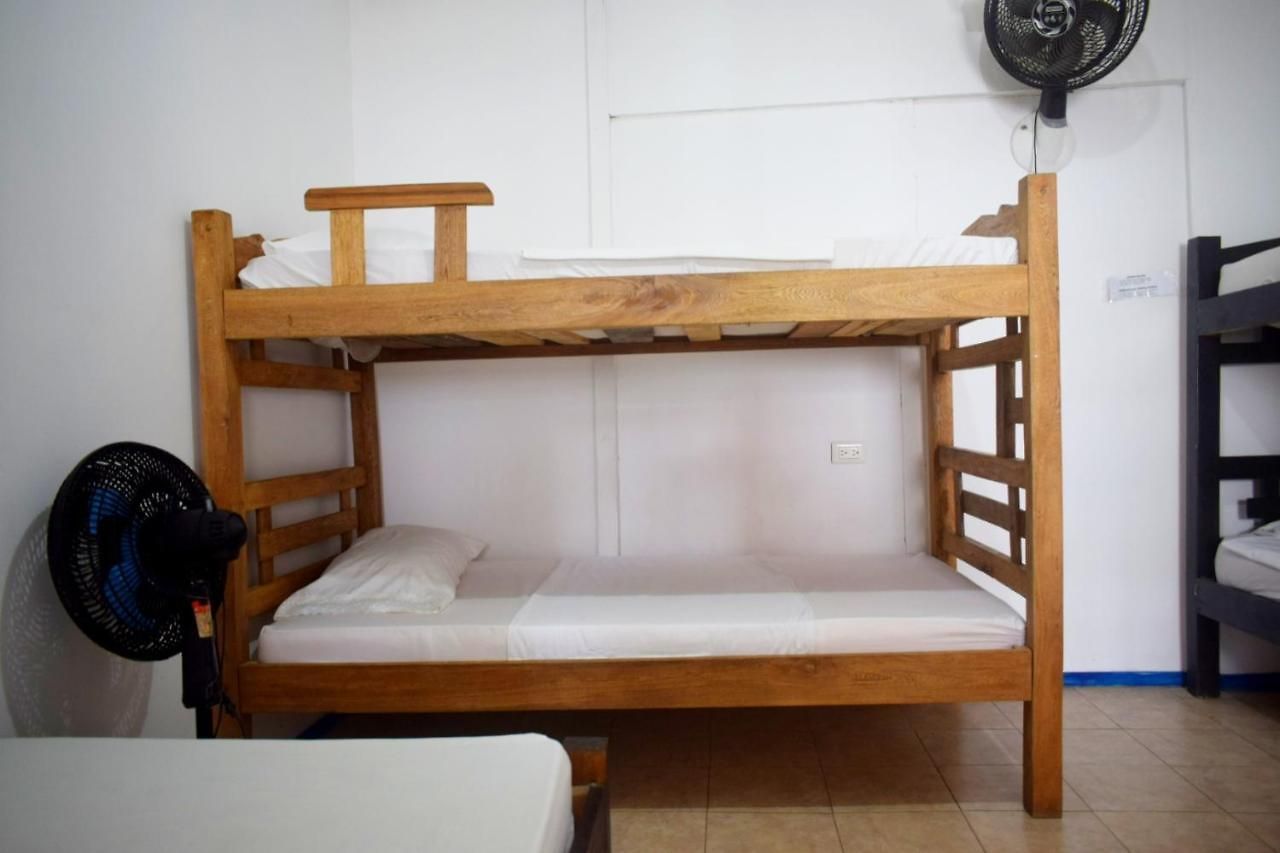 Mango Tree Ctg 420 Hostel Cartagena