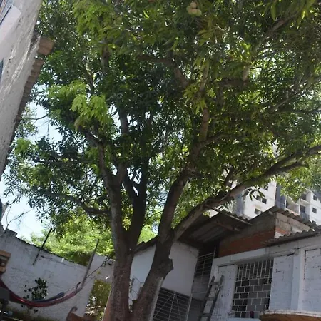 Mango Tree Ctg 420 Hostal