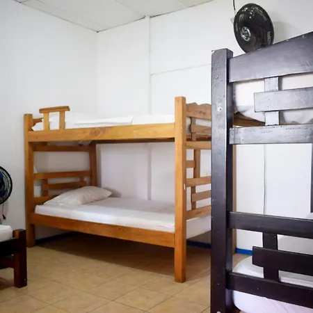 Mango Tree Ctg 420 Hostal *