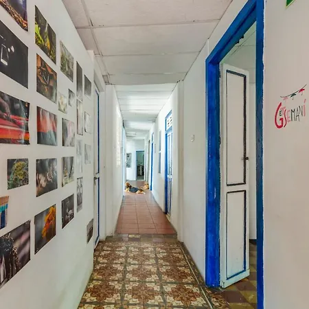 Mango Tree Ctg 420 Hostal *