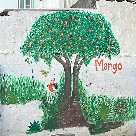 Mango Tree Ctg 420 * Cartagena