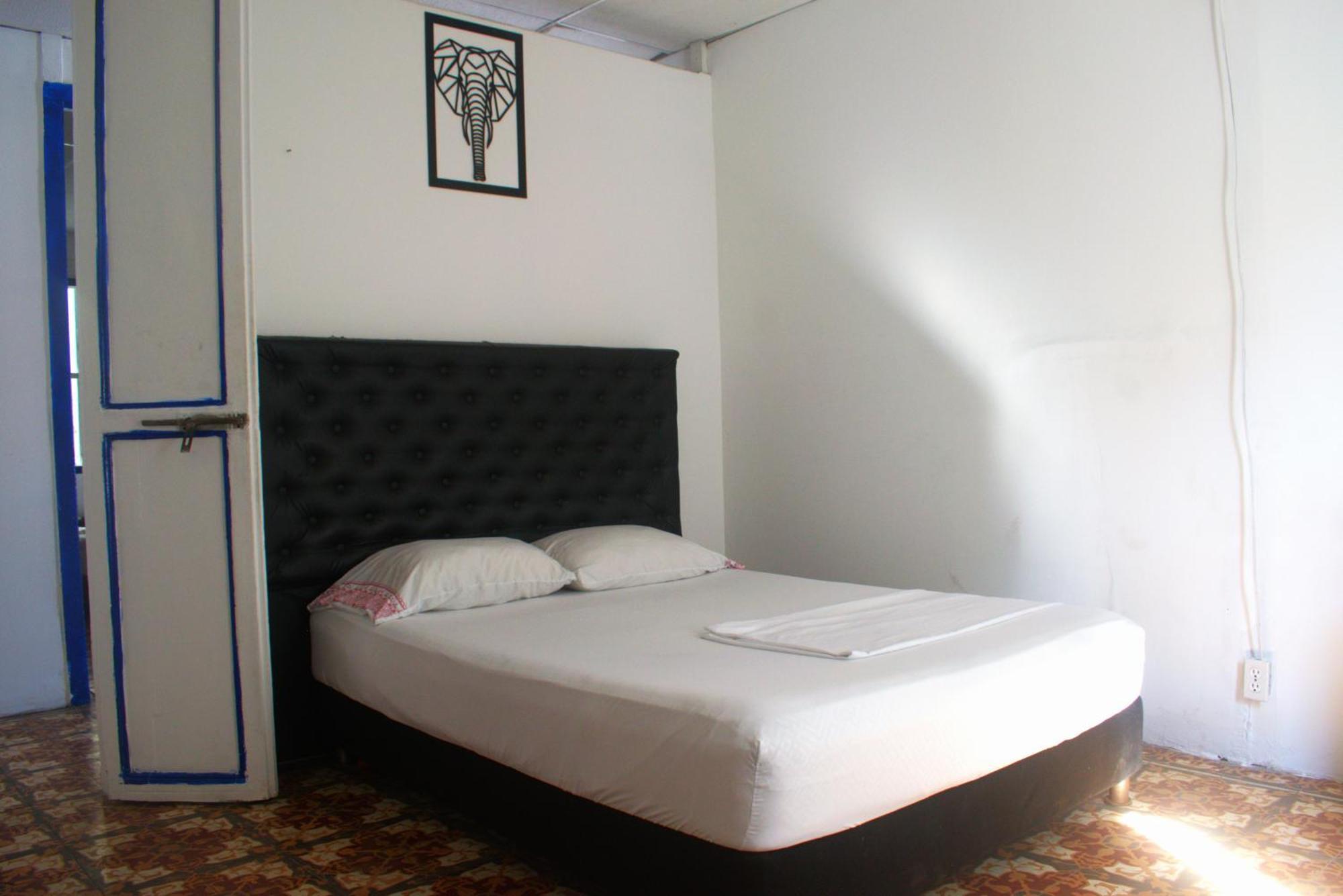 Mango Tree Ctg 420 Cartagena